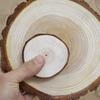 Natural Log Slice Piece Cup Mat Coaster Tea Coffee Mug Round Holder Creative Wood Hand Painted Photo Shooting Props, Multiple Size for Choice
