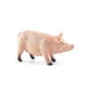 New Kids Gift Education Simulated Poultry Toys Figurines Animal Model