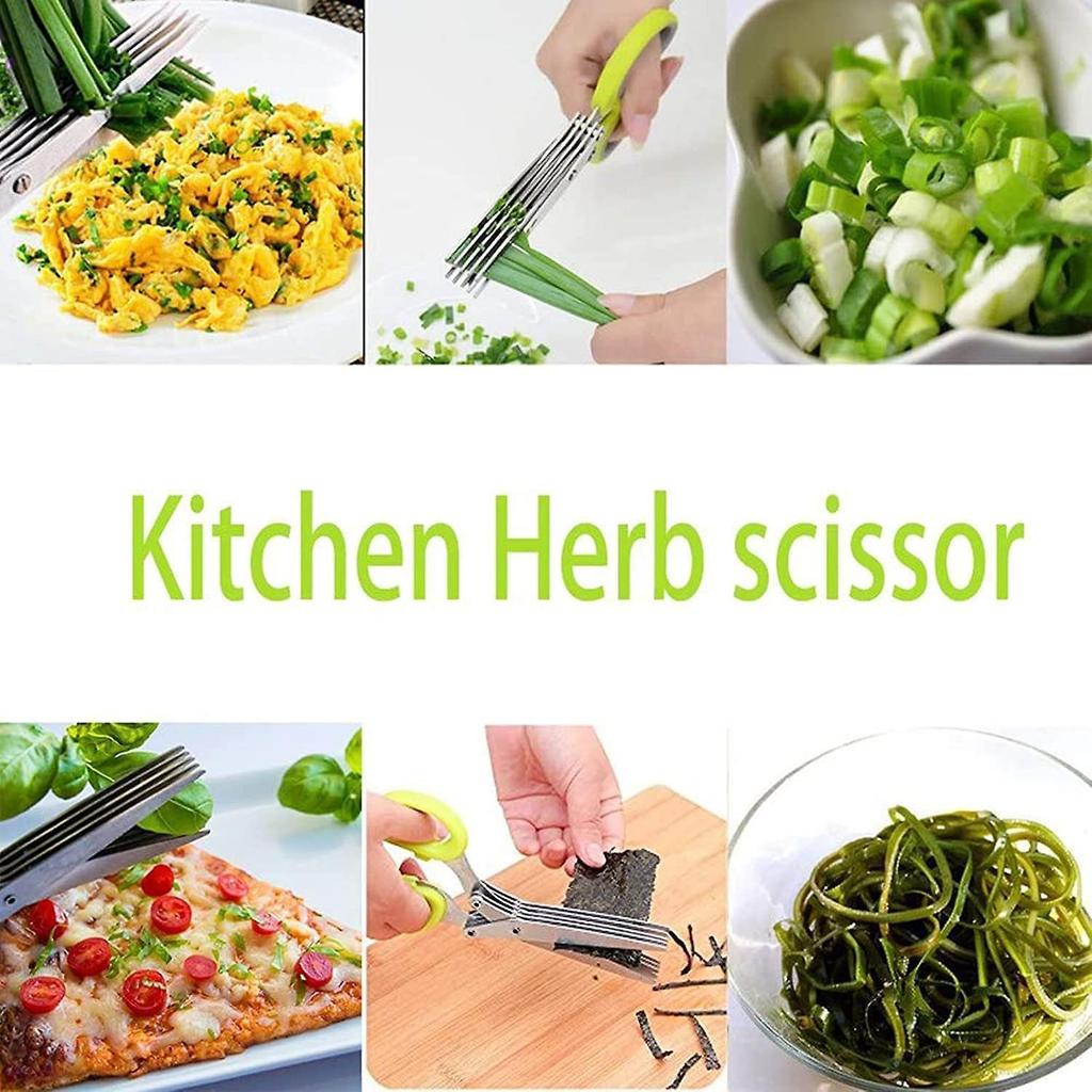 Cive, Spice Scissors, Garlic Scissors, 5 Blade Scissors Herb Scissors Kitchen Scissors Food Scissors Multifunctional Kitchen Scissors Scissors