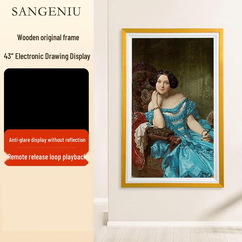 SANGENIU 43-inch 4K Digital Art Display & Smart Picture Frame CN plug (adapter included)