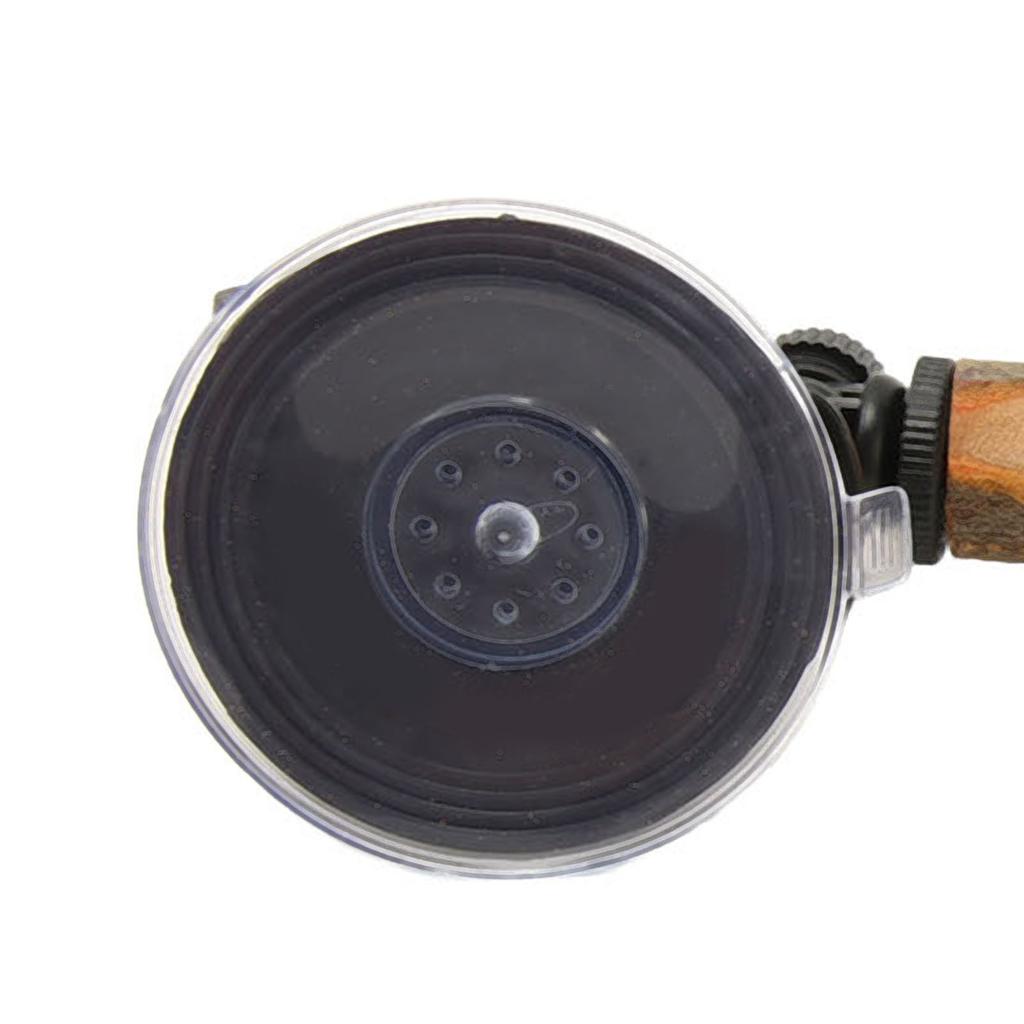 Wood Parrot Perch with Suction Cup Prevent Slip Interactive Bird Window Standing Stick for Small Medium Birds