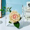 Acrylic Transparent Photo Frame and Decorative Flower Vase for Home Decor