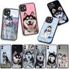 Phone Cover Lovely Husky Dog Funny Casing for Apple iPhone 16 15 14 Plus 13 12 Mini 17 Pro Max + ProMax 16E Air 15+ Case