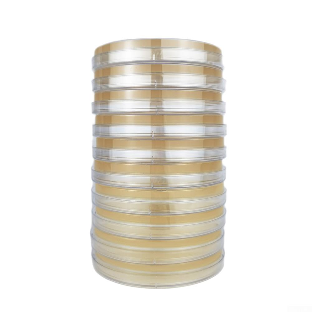 Reliable For Mold Detection In Homes Comprehensive DIY Kit Featuring 10 Tests