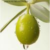 Gentle And Non-irritating Exfoliating Gel Cream Collagen Cleansing Cream New Lady Face Cream  Women
