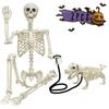 Halloween Dog Skeleton Man Decoration 90/165cm - Horror Prank for Haunted House or Escape Room