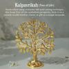 Statuette Kalpavriksha-Baum, 100 % reiner Messing-Kalpavriksha-Baum mit Vögeln (5,9 Zoll), Behoma