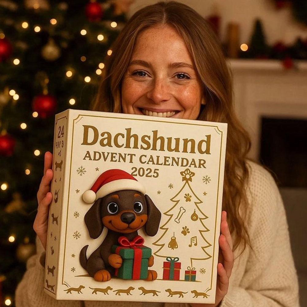 Christmas Advent Calendar Xmas Countdown Calendar With Miniature 2D Owl Calendar Pendant Box Festival Animal Advent Surpris C9Y8