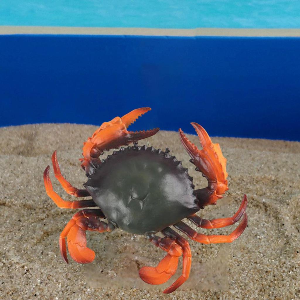 Model Toy, Party Favors Sea Animal Educational Animals for Children