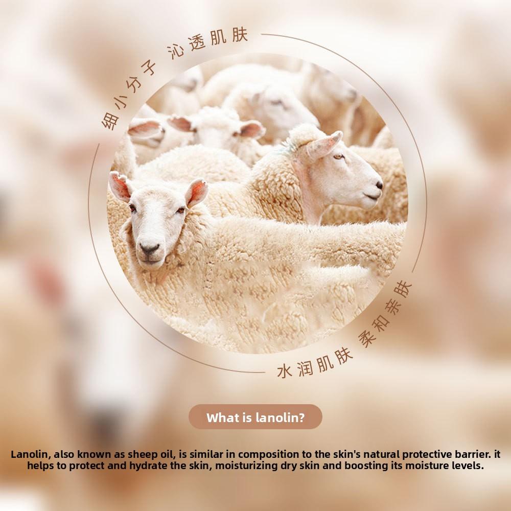 Lanolin Moisturizing Cream Filling Water Supple Smooth Beautiful Skin Protect Skin Creams