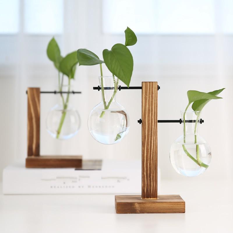 Creative Transparent Glass Plants Vase