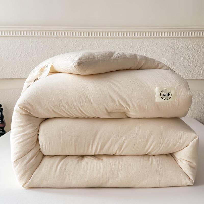 Oeny Thickened Winter Soybean Fiber Quilt