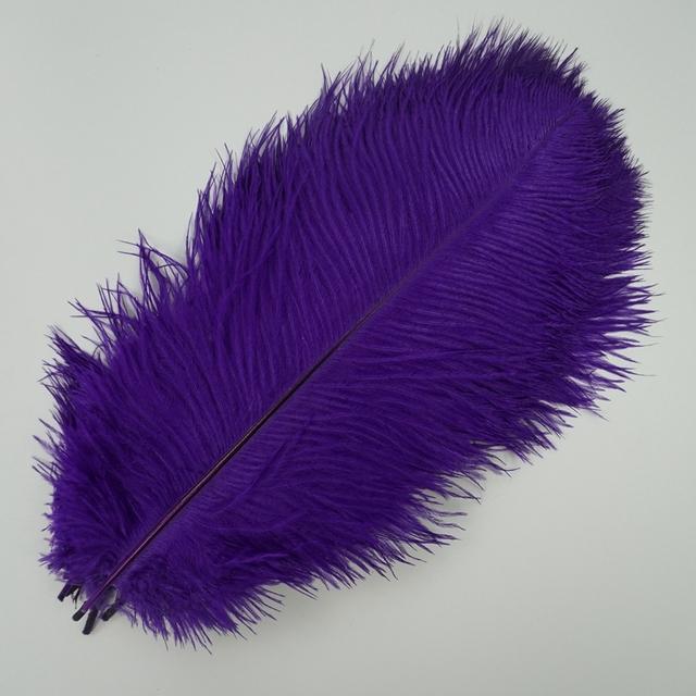 10Pcs/Lot New Colored Ostrich Feathers for Crafts White Black Feather Decor Table Centerpieces Jewelry Handicrafts Decoration