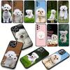 Phone Cover Bichon Frise Dog Cute Pet Casing for Xiaomi Redmi Note 15 11 9 10 Pro Plus A5 9A 9T 10A 10C 9C NFC 15C 8T Case