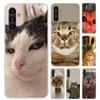 Custodia per Telefono Divertente con Meme di Gatti per Samsung Galaxy A17 A16 A37 A26 A36 A57 A56 A15 A25 A35 A55 A14 A24 A34 A54 A13 A23 A33 A53 Ga