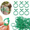 50/100 Plant Clips for Climbing Plants, Horticultural Clips for Tomato Plants, Vegetable Clips for Supporting and Fixing Plants