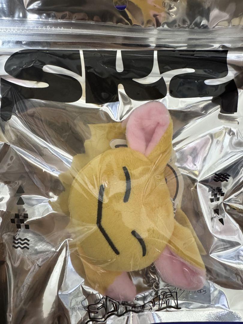 

[USED] Stray Kids Bag Charm I.N