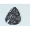 44Cts. Natural Black Fossil Coral Pear Cabochon Loose Gemstone 28X39X04 MM B-336