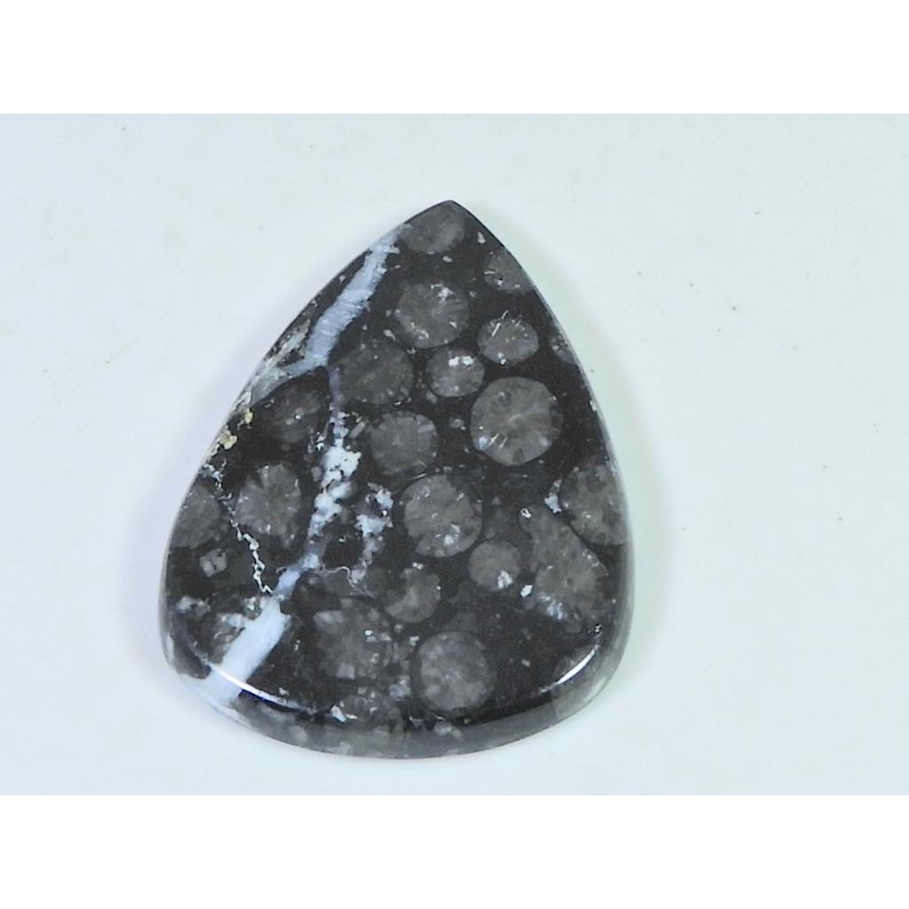 44Cts. Natural Black Fossil Coral Pear Cabochon Loose Gemstone 28X39X04 MM B-336