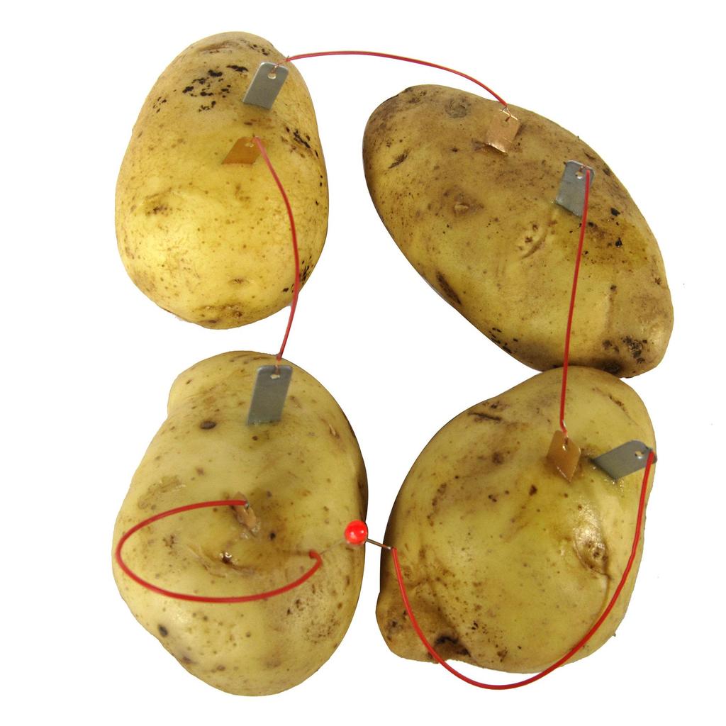 Fruit, Potato, and Cola Power Generation Science Kits: Innovative Experiments and Inventions