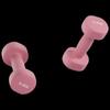 Longzhan Dipped Dumbbells