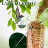 ABXF-Metal Bird Feeder 6 Port Tube Feeder For Outdoors Heavy Duty Squirrel Proof With Metal Lid Easy Fill & Clean
