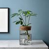 Glass Plant Propagation Station Clear Mountain Hydroponic Planter Artistic Flower Vase Plant Propagation Jar for Home Living Room Bedroom Desktop
