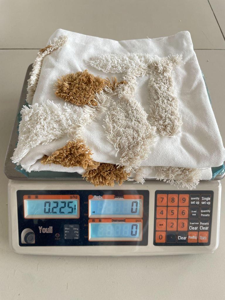 Bohemian Tassel Embroidered Throw Pillow for Living Room Sofa