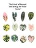 Green refrigerator stickers for home decoration. Interesting home decorations can give people small gifts
