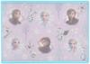 YAXELL Disney Cutting Board for Kids x cm Frozen Made in Japan Antibacterial Dishwasher Safe Reversible Cutting Board 40246 26.3 18.4 Children's