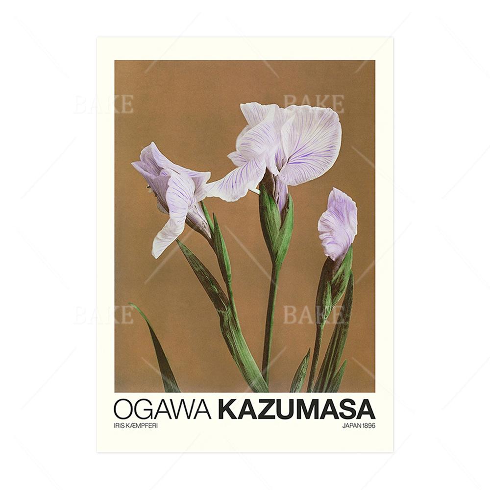 

Огава Казумаса выставочный постер красивый лотос волосатый пион ирис настенный холст цветы художественные принты винтажные фотографии фотографии 21x30cm No Framed