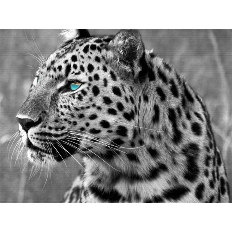 5D DIY Diamantmalerei Tier Kreuzstich Handwerk Vollrunde Bohrer Diamantstickerei Heimdekor Geschenk