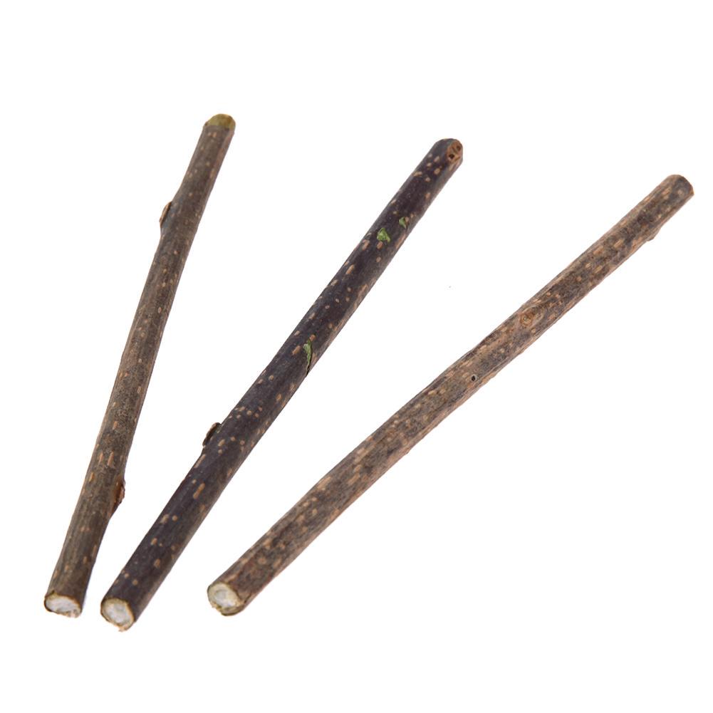 10 Stück reine natürliche Katzenminze Haustiere Katze Molar Zahnpasta Stick Katze Reinigung Zahn