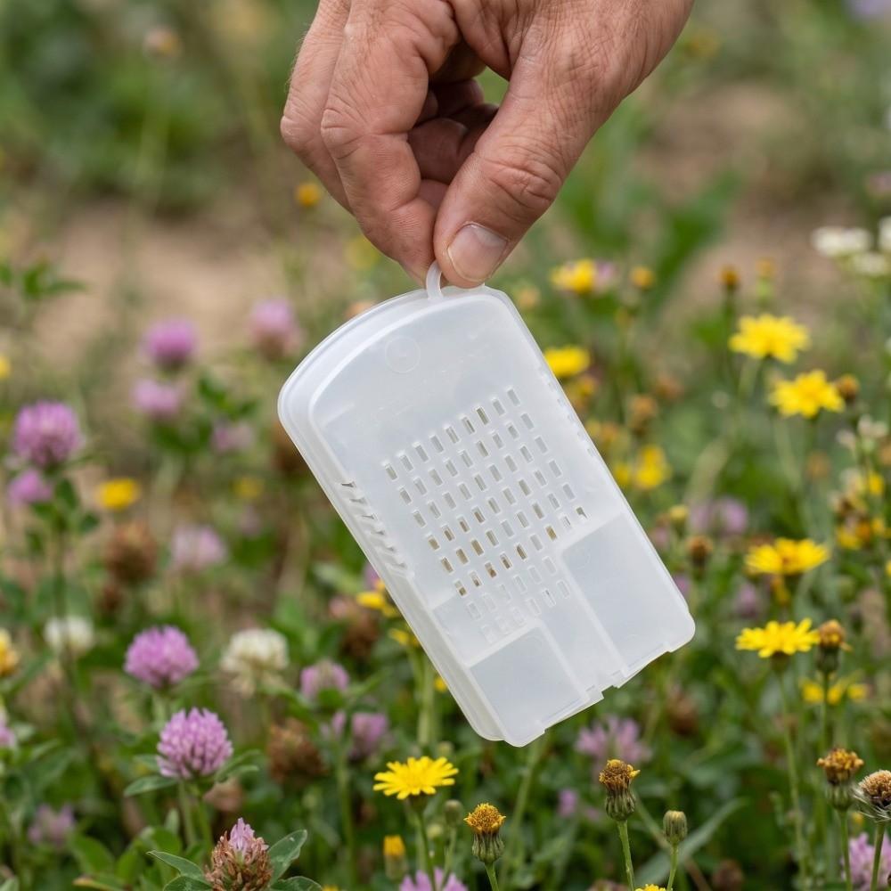 10Pcs Plastic Bee Transport Cage Ventilated Beekeeping Cage With Vents Bee Rearing Cage  Beekeepers