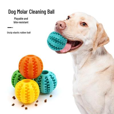 Interactive Dog Chew Toy: Food Dispensing, Teeth Cleaning, Educational Watermelon Ball