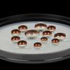 Haida Magnetischer PL Magnetischer Polarisationsfilter mit Adapterring, 77mm, Filter, CPL, Ultra-Dünn,