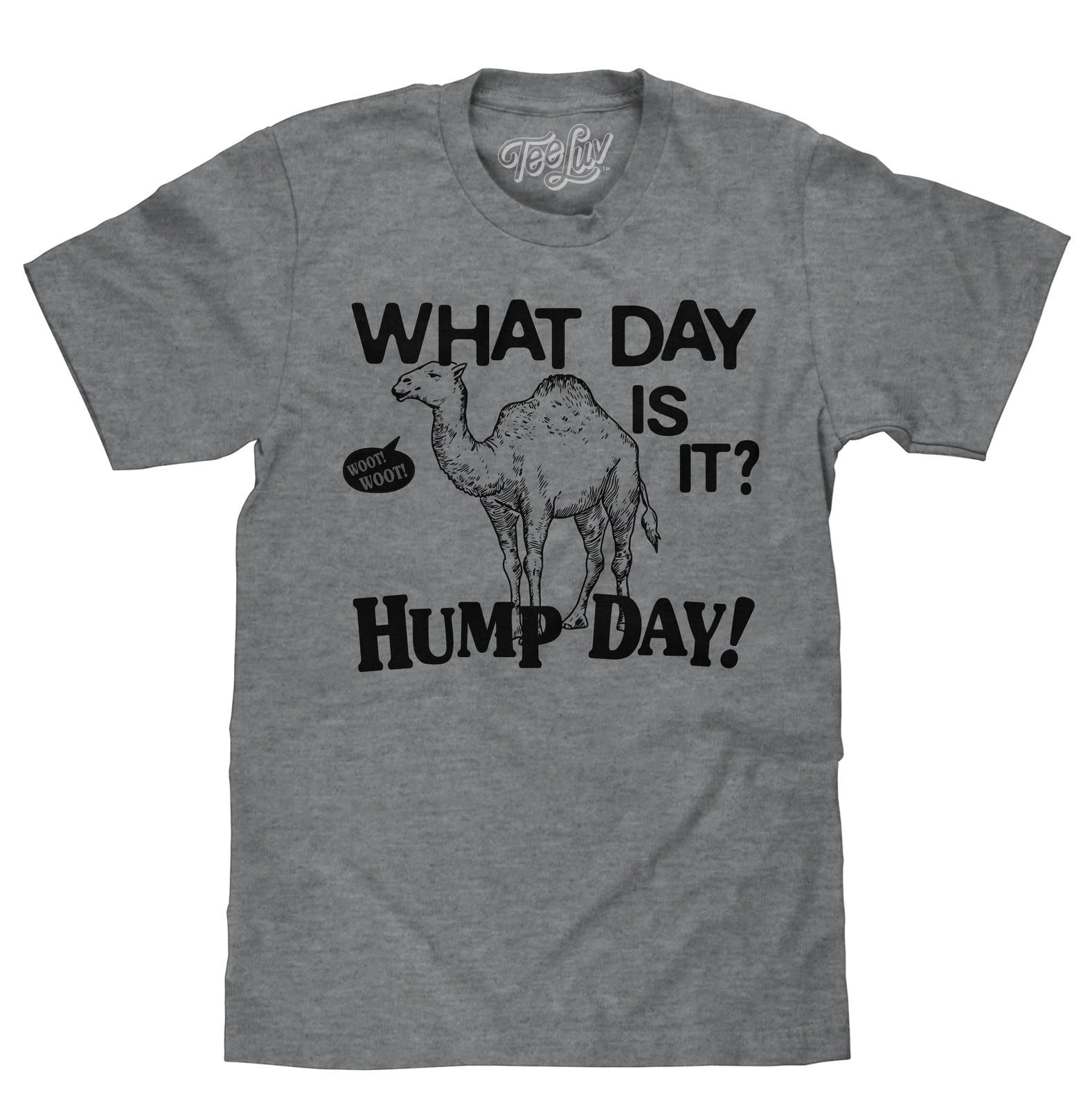 What Day Is It? Hump Day Camel Mens T Shirt Gray XXXXL
