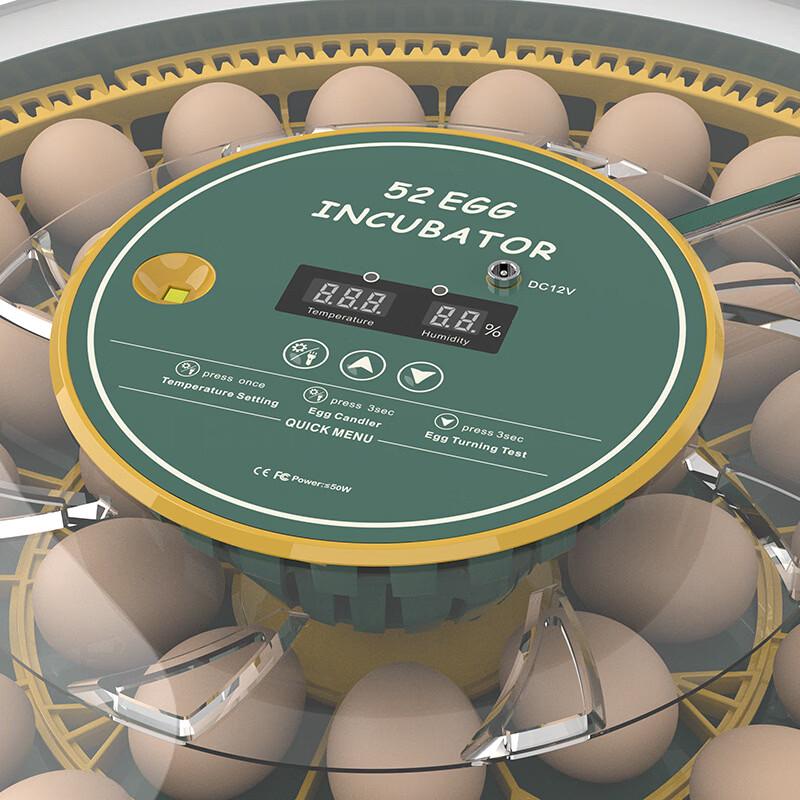 OLOEY Small Automatic Smart Incubator