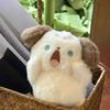 Cute Plush Cat Rabbit Bear Dog Keychain Pendant Lovely Shouting Animals Keyring Charm for Purse Bag Backpack Handbag