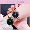 Fashionable Trendy Ladies' Night Light Watch Decorative Quartz Dial Casual Style Rose Gold Starry Sky Dial Non-waterproof
