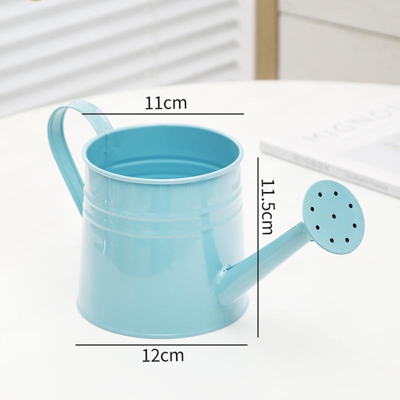 Retro Eisen Sukkulenten Gießkanne: Ausgehöhltes, Distressed-Design für Haushalt & Blumengebrauch