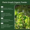 MoonSpry 100g Polvere Nutriente Organica per Piante - Migliora la Compattazione del Terreno, Potenzia i Fiori in Vaso per una Fioritura Rigogliosa