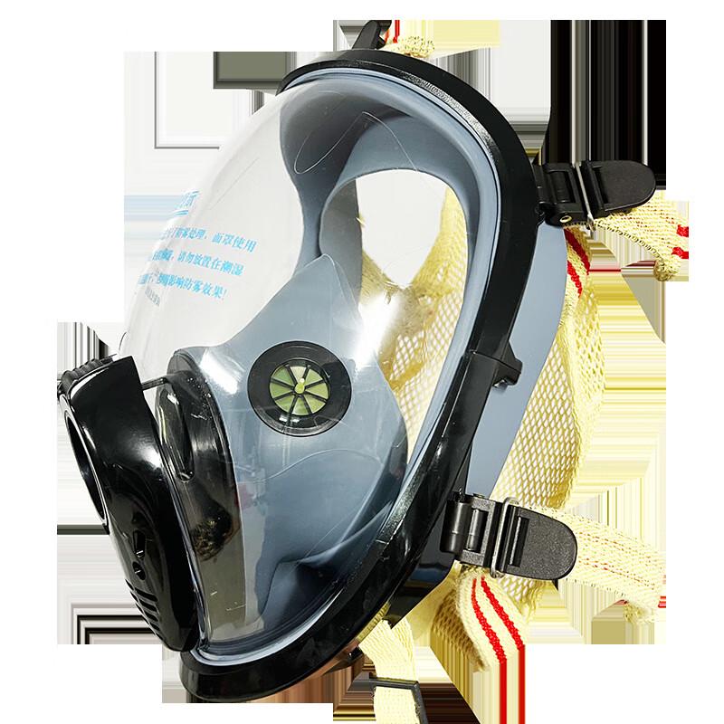 

Lieve Full Face Positive Pressure Air Respirator 1