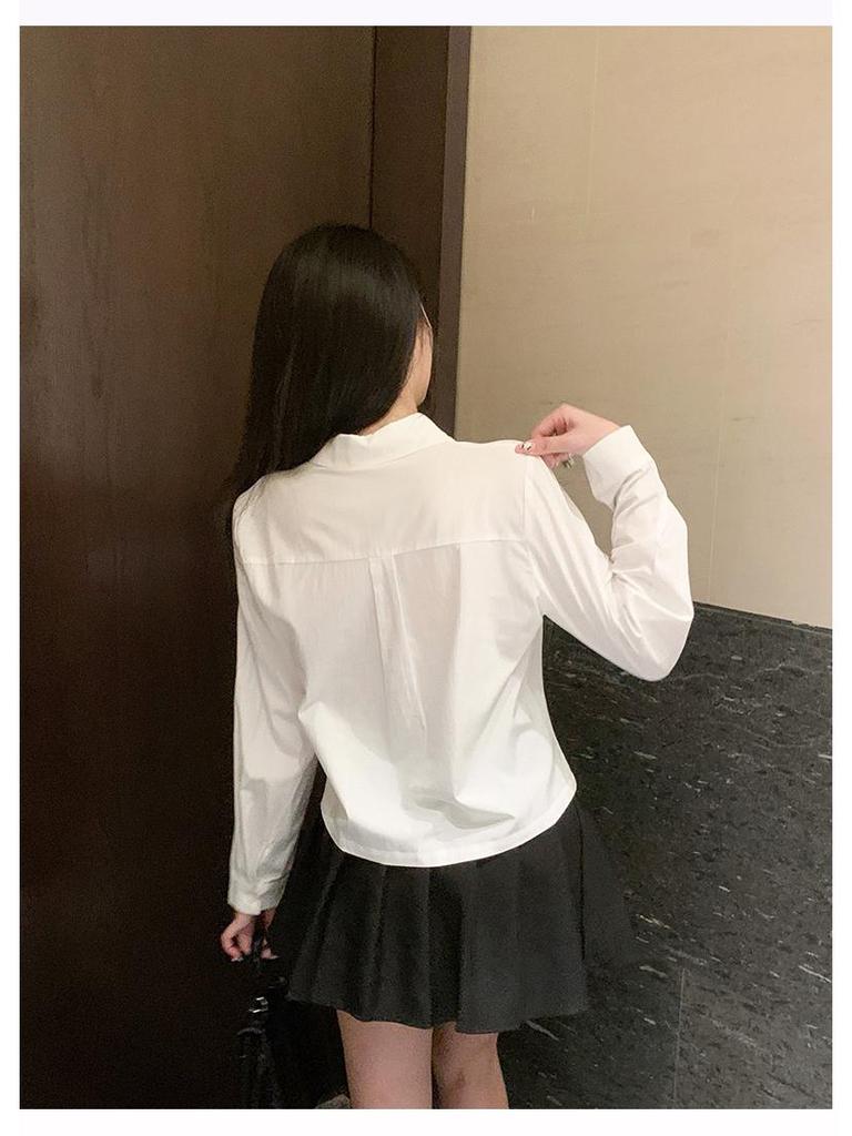 New Irregular Long-Sleeve Lapel Buttoned Shirt from Dongdaemun, South Korea