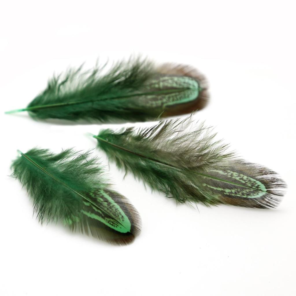 50Pcs 4-8cm Rare Precious DIY Wedding Party Decorative Multi-colour Pheasant Plume Feather Natural Feathers for Home Decoration
