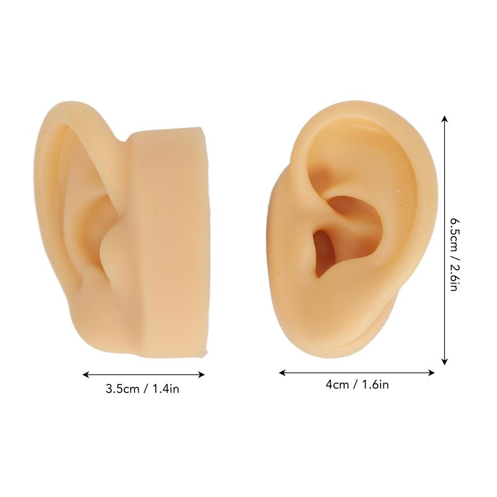 Model do ćwiczenia przekłuwania uszu Elastyczny Wygodny Realistyczny Silikonowy Model Ucha Wielofunkcyjny Przenośny do Ekspozycji Biżuterii do Uszu
