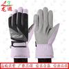 Longxia Winter Ski Gloves