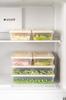 Set of 24 Freshbox Microwave and Freezer Suitable Storage Container Cream Color