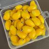 Resin Mini Fake Fruit Pendants 5Pcs Realistic Simulation Ornaments for DIY Greeting Card Decor Craft Making Supplies