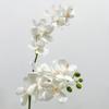 Long Branch Artificial Phalaenopsis 86cm Vanda Flower 3D Fake Flower  Art Accessories